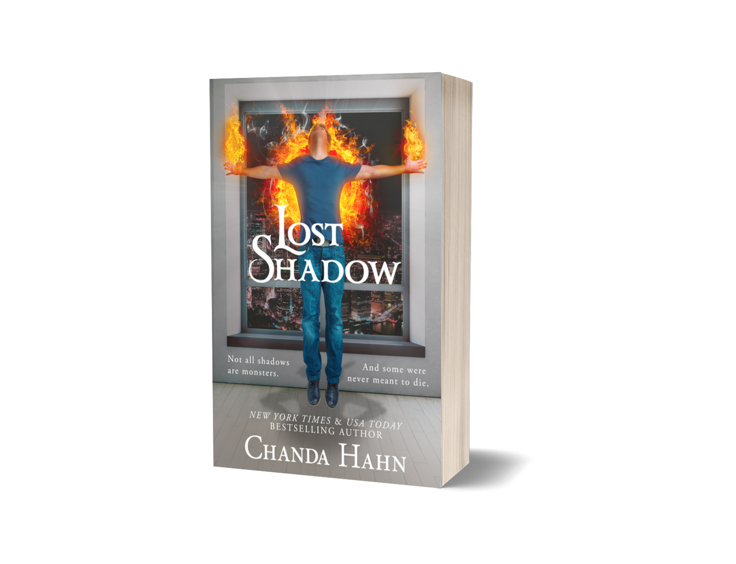 The Neverwood Chronicles Paperback