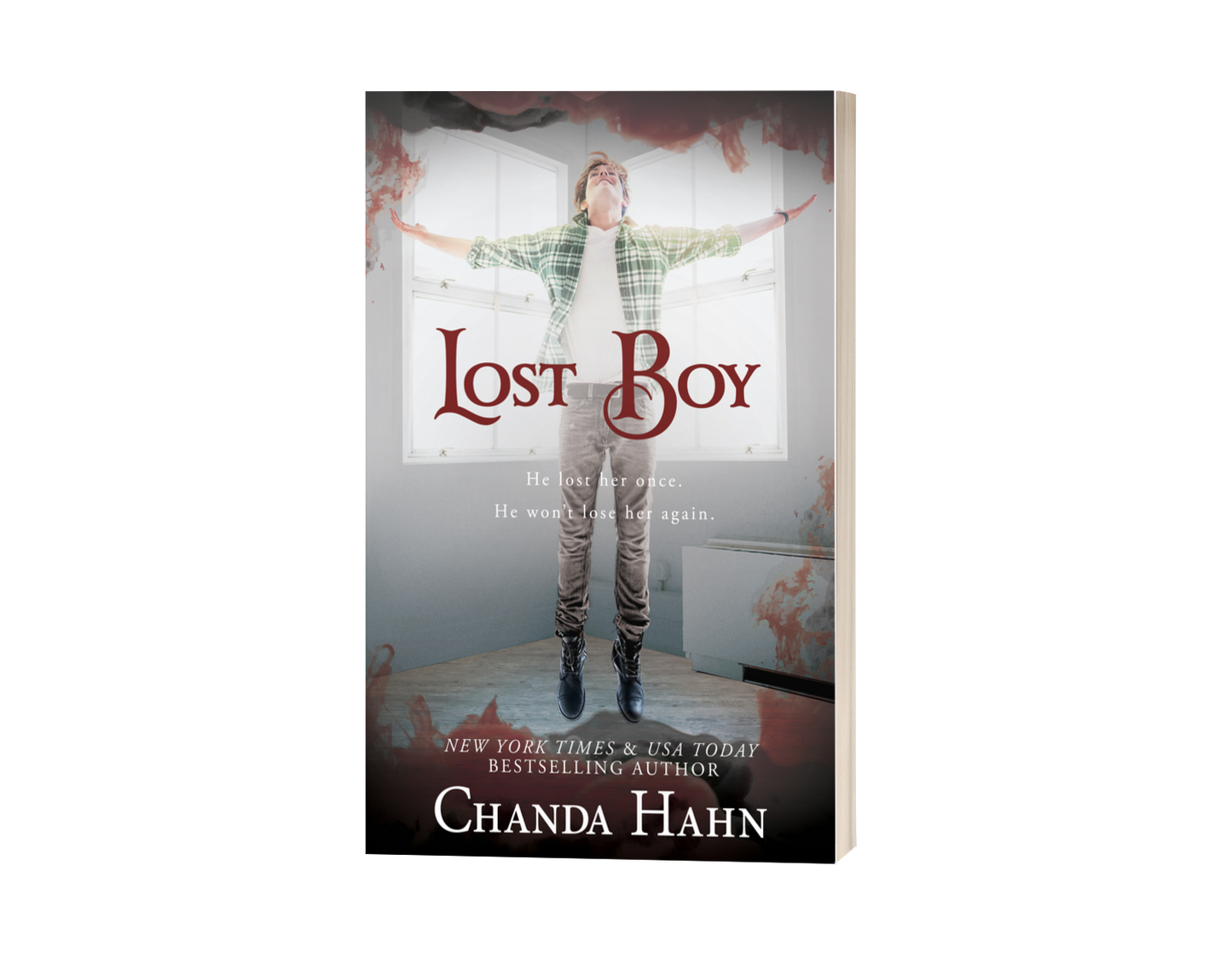 The Neverwood Chronicles Paperback