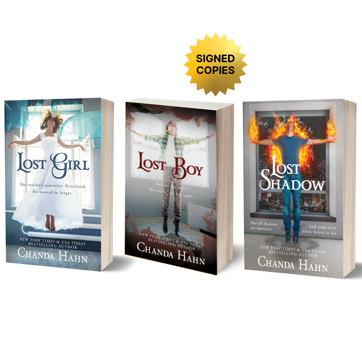 The Neverwood Chronicles Paperback