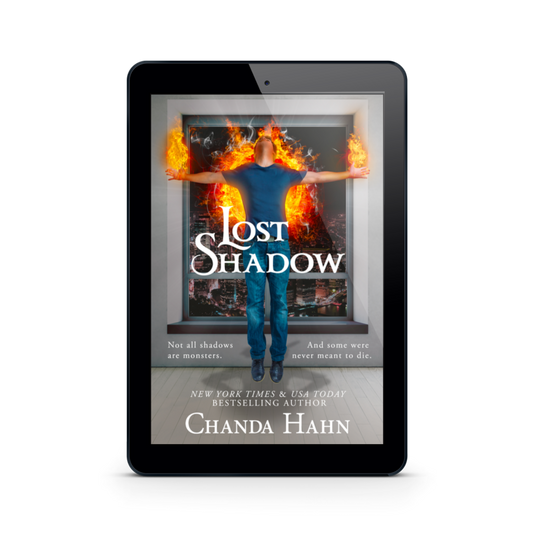 Lost Shadow ebook
