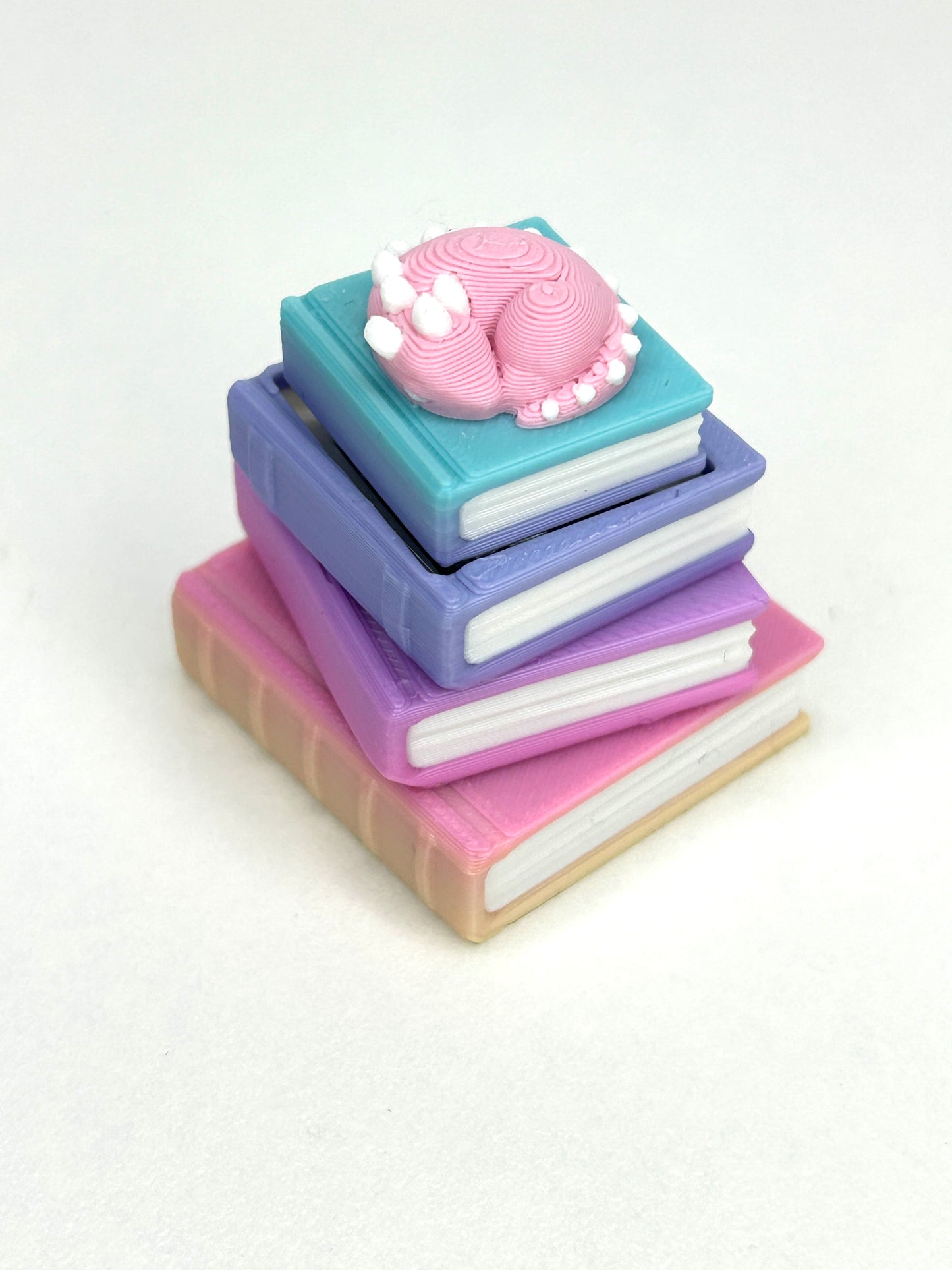 Sleepy Enchanted Library Book Fidget Clicker